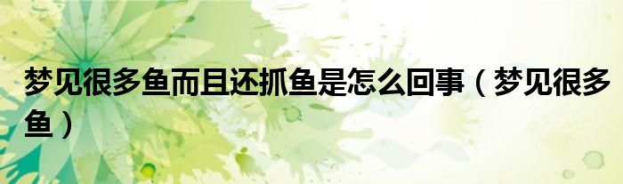 夢見很多魚而且還抓魚是怎么回事（夢見很多魚）