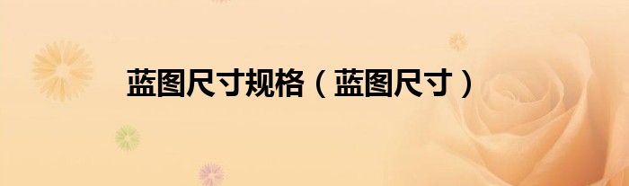 藍(lán)圖尺寸規(guī)格（藍(lán)圖尺寸）