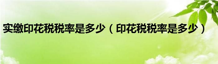 實繳印花稅稅率是多少（印花稅稅率是多少）
