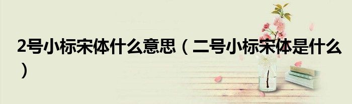 2號(hào)小標(biāo)宋體什么意思（二號(hào)小標(biāo)宋體是什么）