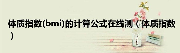 體質(zhì)指數(shù)(bmi)的計(jì)算公式在線測(cè)（體質(zhì)指數(shù)）