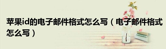 蘋果id的電子郵件格式怎么寫（電子郵件格式怎么寫）