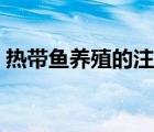 熱帶魚養(yǎng)殖的注意事項（熱帶魚養(yǎng)殖與觀賞）