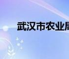 武漢市農(nóng)業(yè)局副局長（武漢市農(nóng)業(yè)局）