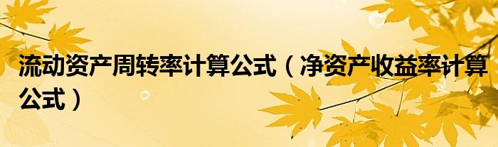 流動(dòng)資產(chǎn)周轉(zhuǎn)率計(jì)算公式（凈資產(chǎn)收益率計(jì)算公式）