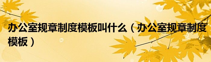 辦公室規(guī)章制度模板叫什么（辦公室規(guī)章制度模板）