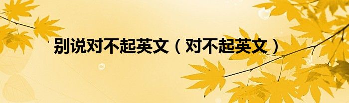 別說對不起英文（對不起英文）