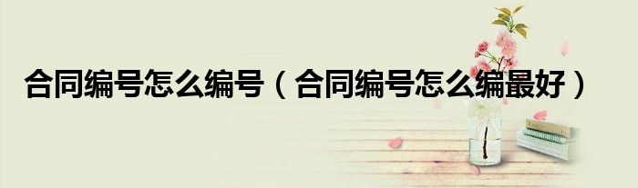 合同編號怎么編號（合同編號怎么編最好）