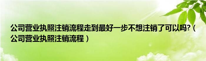 公司營業(yè)執(zhí)照注銷流程走到最好一步不想注銷了可以嗎?（公司營業(yè)執(zhí)照注銷流程）