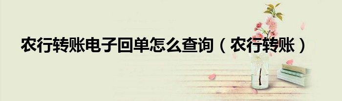 農(nóng)行轉(zhuǎn)賬電子回單怎么查詢(xún)（農(nóng)行轉(zhuǎn)賬）