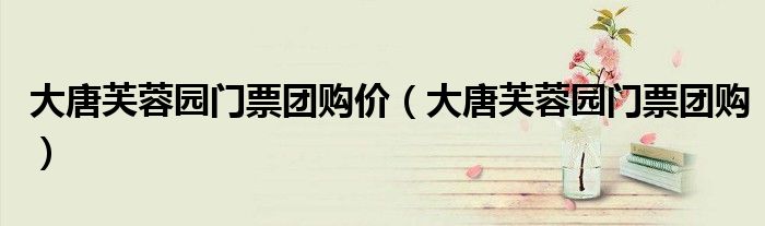 大唐芙蓉園門票團(tuán)購價(jià)（大唐芙蓉園門票團(tuán)購）