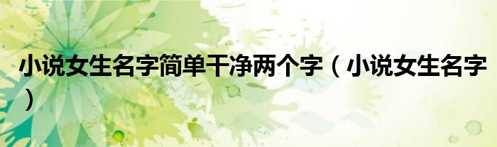 小說女生名字簡單干凈兩個字（小說女生名字）