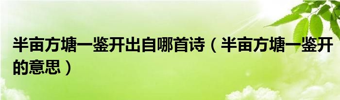 半畝方塘一鑒開出自哪首詩（半畝方塘一鑒開的意思）