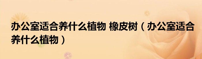 辦公室適合養(yǎng)什么植物 橡皮樹(shù)（辦公室適合養(yǎng)什么植物）