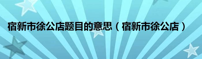 宿新市徐公店題目的意思（宿新市徐公店）