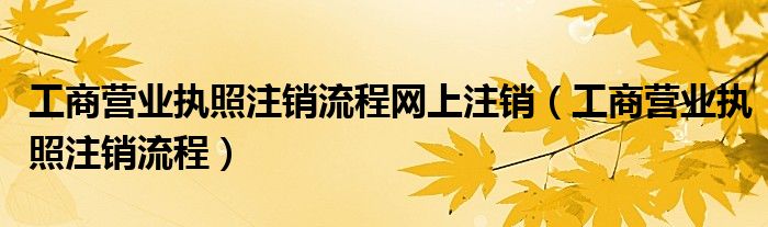 工商營業(yè)執(zhí)照注銷流程網(wǎng)上注銷（工商營業(yè)執(zhí)照注銷流程）