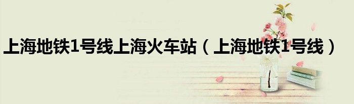 上海地鐵1號線上?；疖囌荆ㄉ虾５罔F1號線）