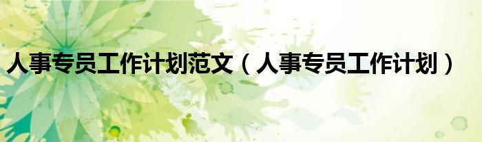 人事專員工作計(jì)劃范文（人事專員工作計(jì)劃）