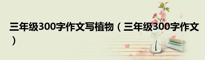 三年級300字作文寫植物（三年級300字作文）