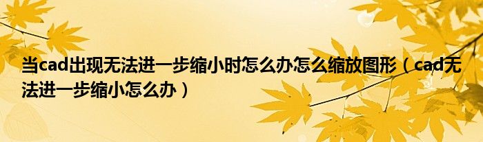 當cad出現(xiàn)無法進一步縮小時怎么辦怎么縮放圖形（cad無法進一步縮小怎么辦）