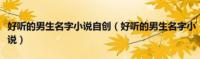 好聽的男生名字小說自創(chuàng)（好聽的男生名字小說）