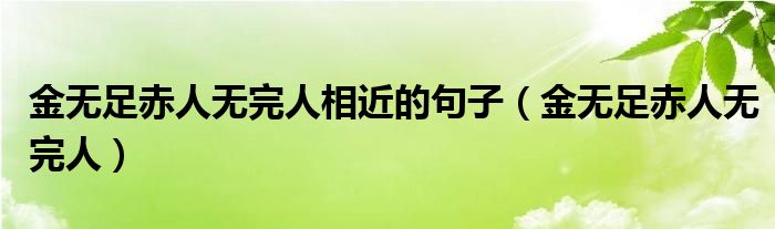 金無足赤人無完人相近的句子（金無足赤人無完人）