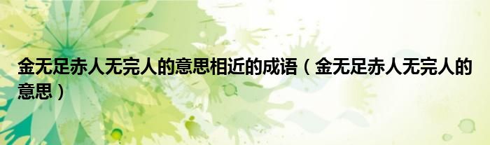 金無足赤人無完人的意思相近的成語（金無足赤人無完人的意思）