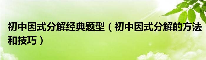 初中因式分解經(jīng)典題型（初中因式分解的方法和技巧）