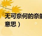 無可奈何的奈的拼音是什么（無可奈何的奈的意思）