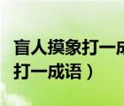 盲人摸象打一成語是什么成語故事（盲人摸象打一成語）