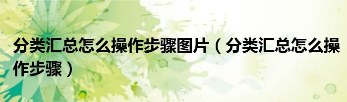 分類匯總怎么操作步驟圖片（分類匯總怎么操作步驟）