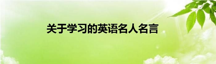 關(guān)于學(xué)習(xí)的英語名人名言