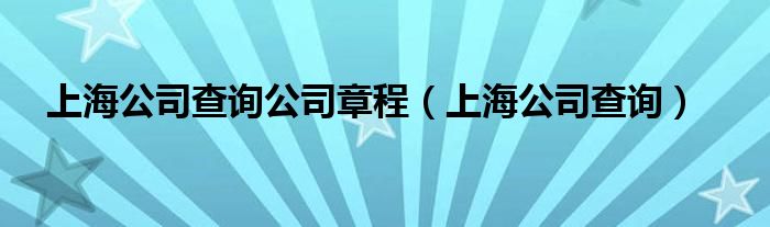 上海公司查詢公司章程（上海公司查詢）