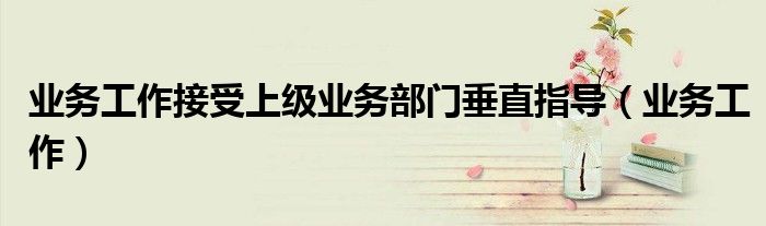 業(yè)務(wù)工作接受上級業(yè)務(wù)部門垂直指導(dǎo)（業(yè)務(wù)工作）