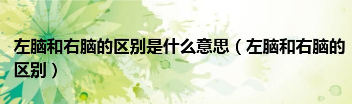 左腦和右腦的區(qū)別是什么意思（左腦和右腦的區(qū)別）
