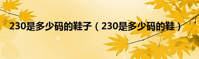 230是多少碼的鞋子（230是多少碼的鞋）