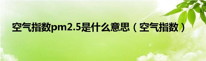 空氣指數(shù)pm2.5是什么意思（空氣指數(shù)）