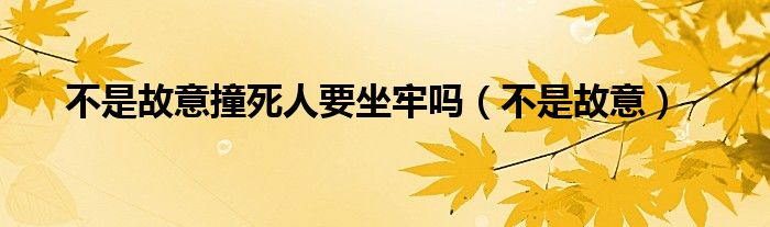 不是故意撞死人要坐牢嗎（不是故意）