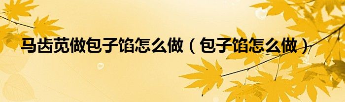 馬齒莧做包子餡怎么做（包子餡怎么做）