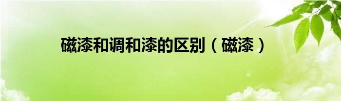 磁漆和調(diào)和漆的區(qū)別（磁漆）