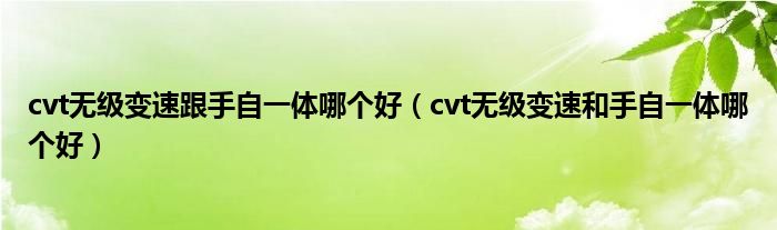 cvt無級變速跟手自一體哪個好（cvt無級變速和手自一體哪個好）