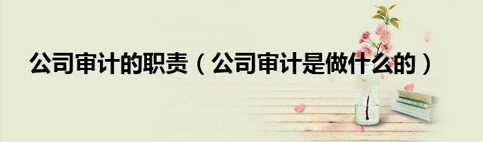 公司審計(jì)的職責(zé)（公司審計(jì)是做什么的）