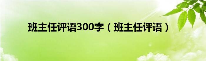 班主任評(píng)語300字（班主任評(píng)語）