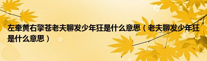 左牽黃右擎蒼老夫聊發(fā)少年狂是什么意思（老夫聊發(fā)少年狂是什么意思）