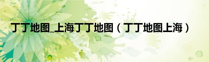 丁丁地圖_上海丁丁地圖（丁丁地圖上海）