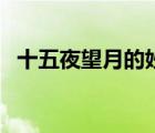 十五夜望月的妙處（十五夜望月閱讀答案）