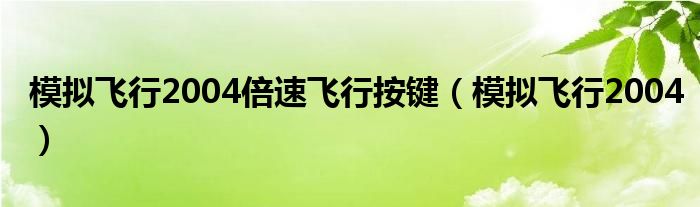 模擬飛行2004倍速飛行按鍵（模擬飛行2004）