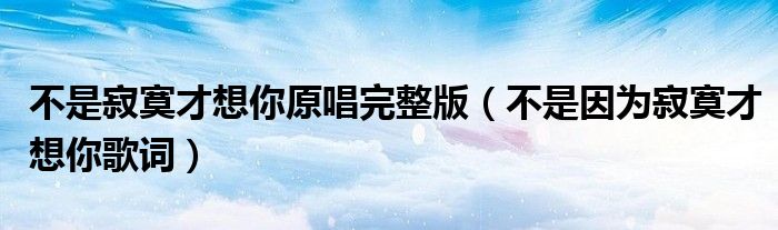 不是寂寞才想你原唱完整版（不是因為寂寞才想你歌詞）