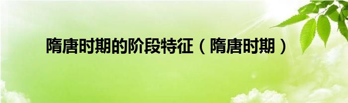 隋唐時期的階段特征（隋唐時期）