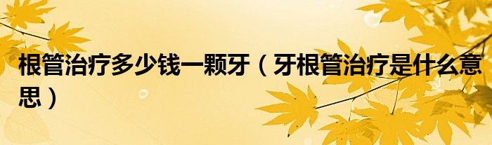 根管治療多少錢(qián)一顆牙（牙根管治療是什么意思）